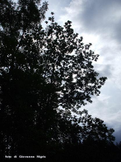 che cielo.....JPG